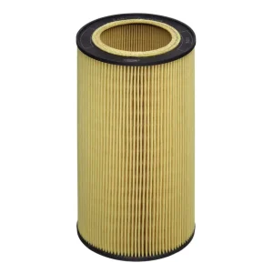 Ekspresowa dostawa Filtr oleju Hengst E43H D213