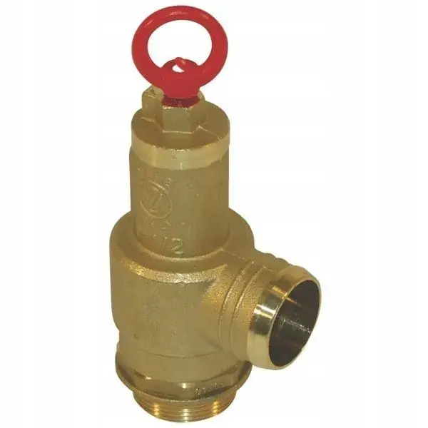 (0200013) Zawór bezpieczeństwa 2" Popularny